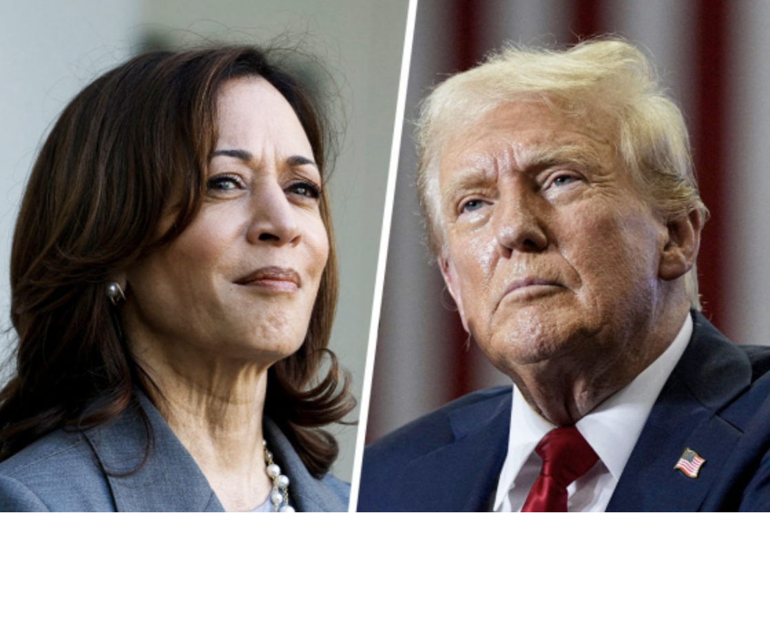 Trump harris side by side