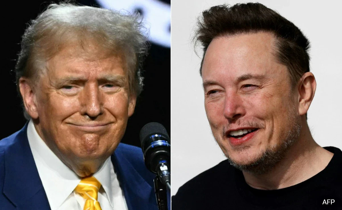 Elon musk and donald trump
