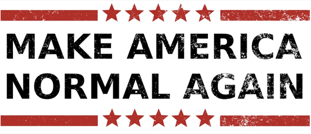 Make america normal again banner
