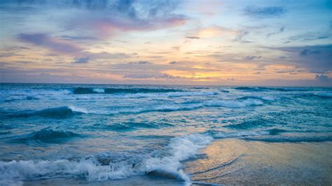 Ocean