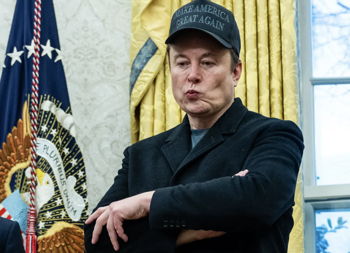 Disgruntled elon musk and doge