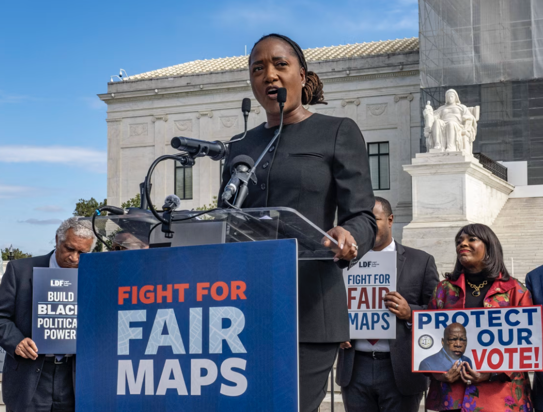 Gerrymandering protesters