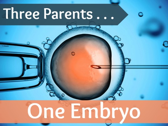 3parents1embryo