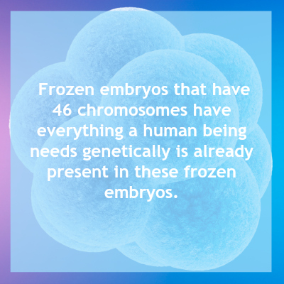 Frozen embryo1