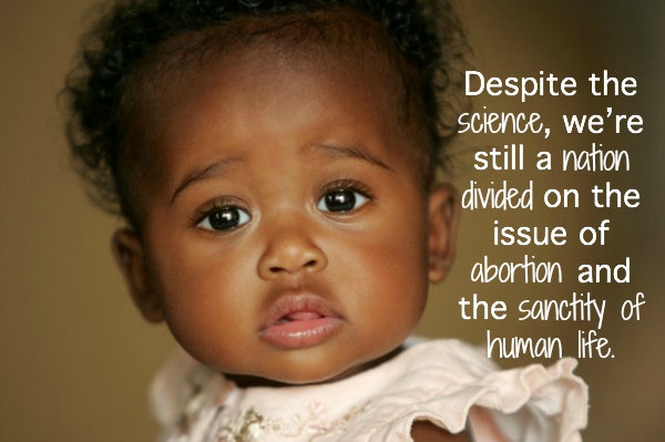 Sanctity of life