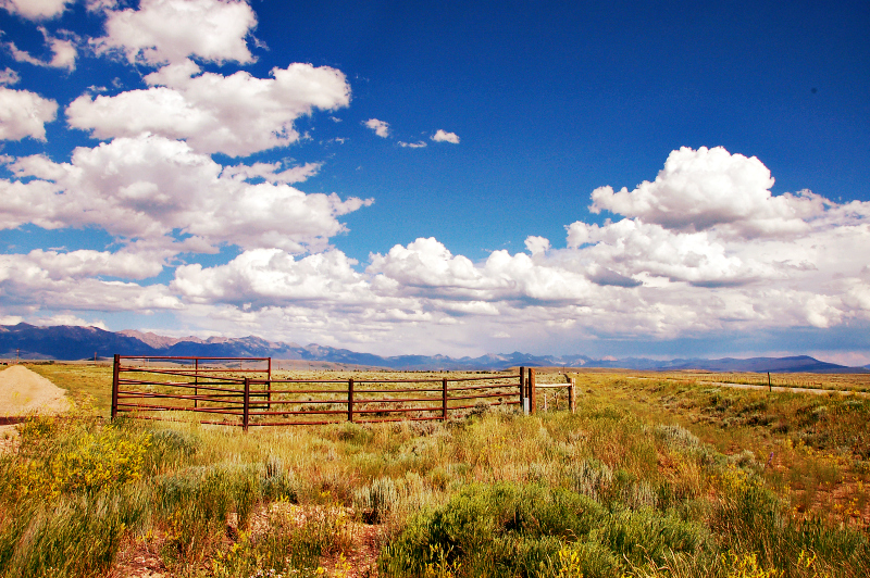Thunder basin