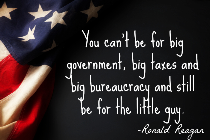 Big govt
