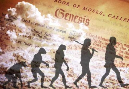 Mmw findingsevolution330 e1339462874685