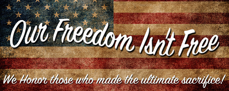 Our freedom isnt free 1