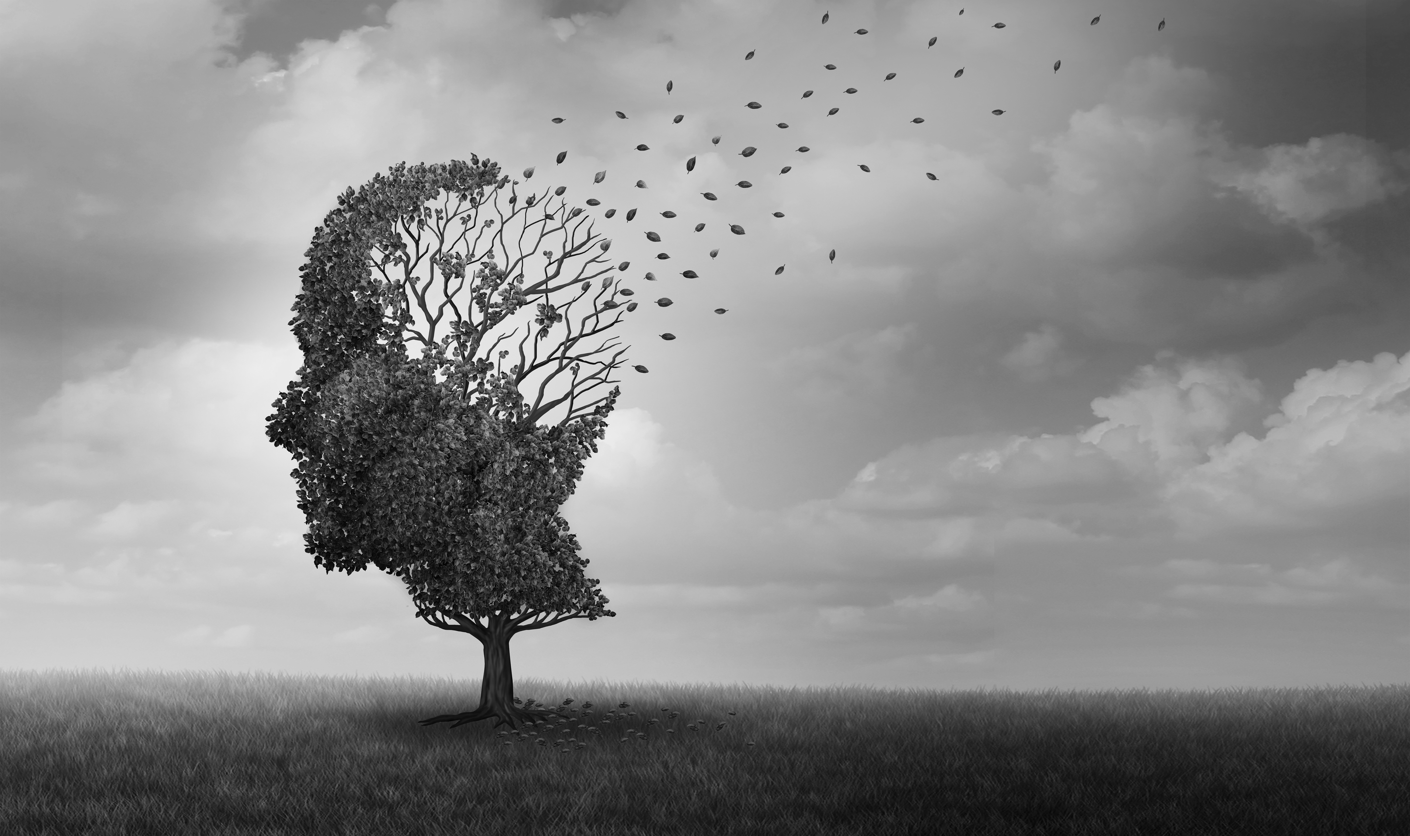 Dementia alzheimer