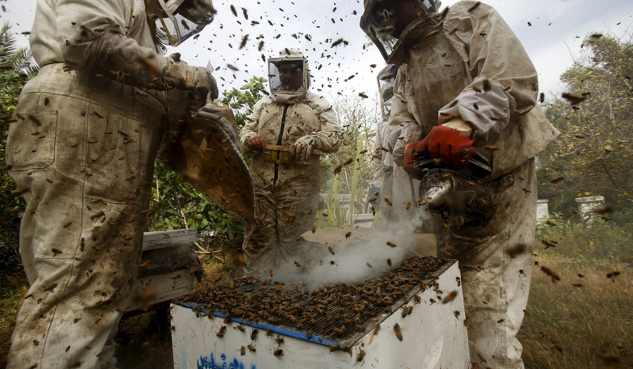 Hands off Babylon Bee