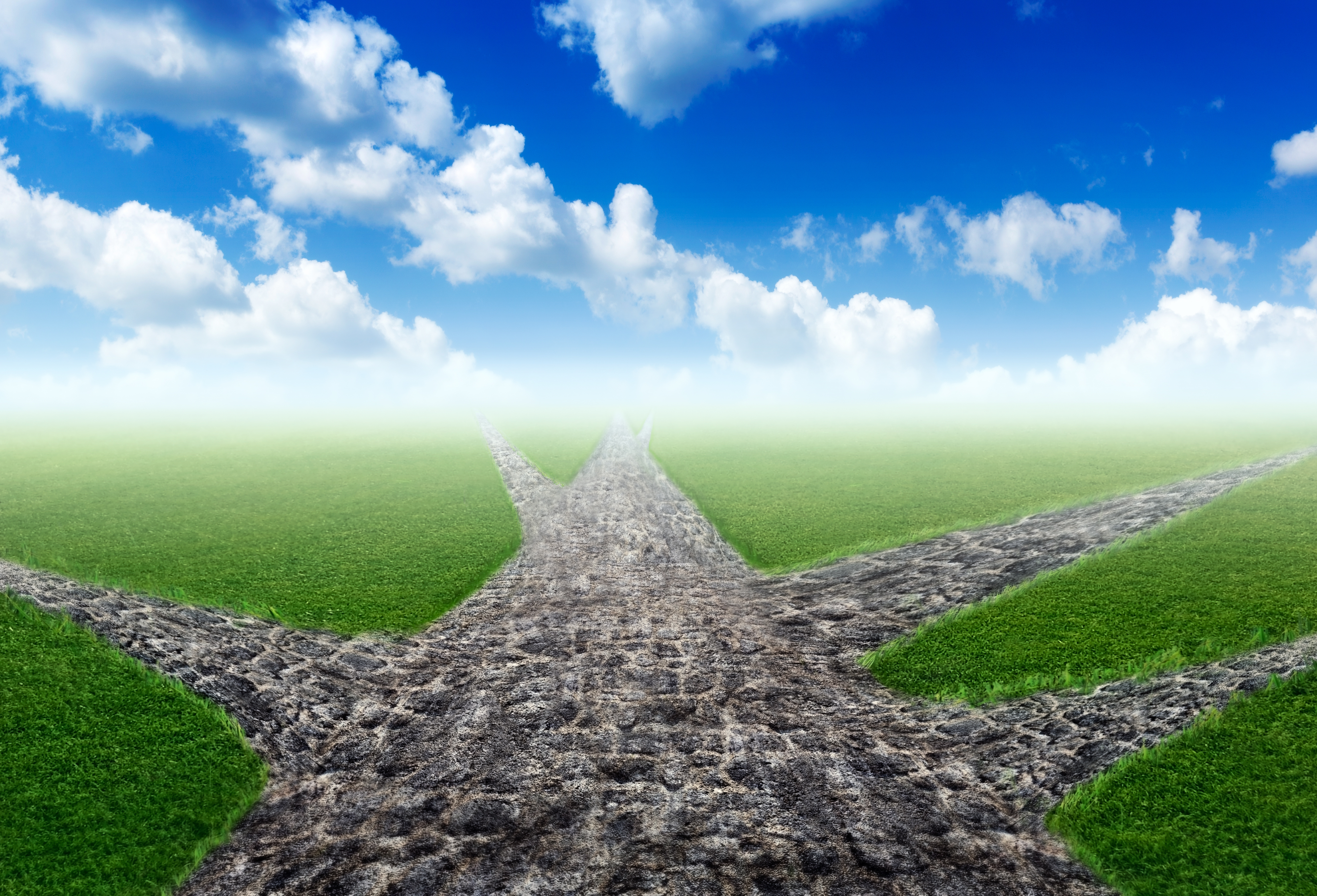 Choosing the right path