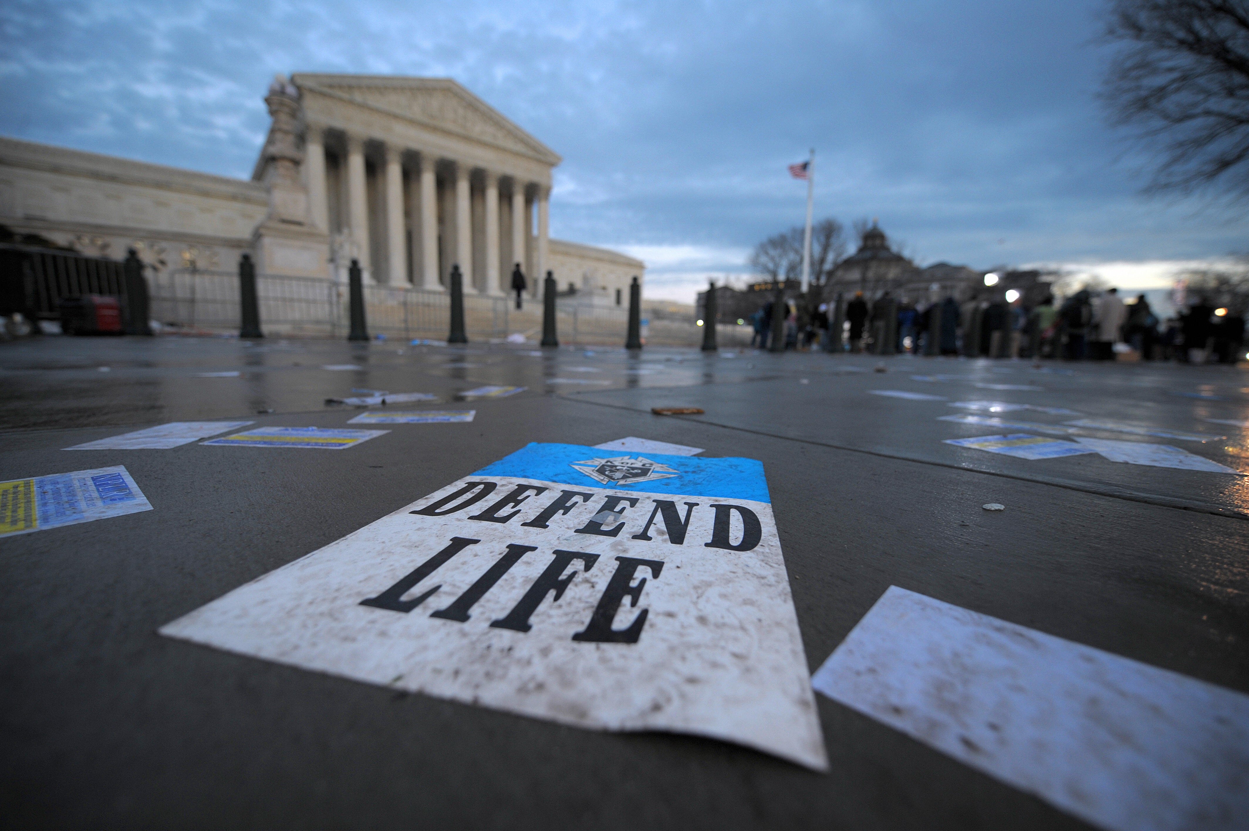 Banner Year for the Pro-Life Movement