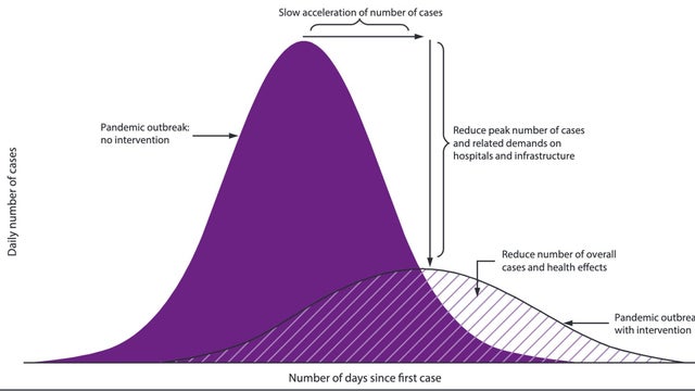 Predictive Models