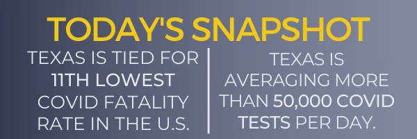 The Texas COVID Snapshot