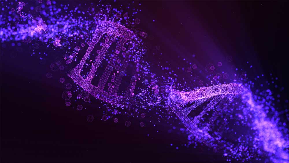Junk DNA