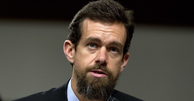 John matze parler ceo