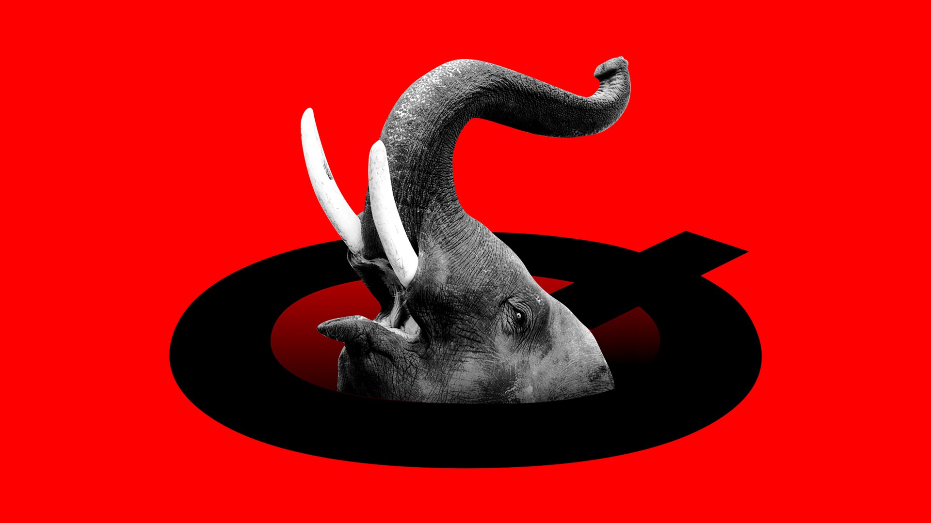 QAnon Destroying the Republican Party