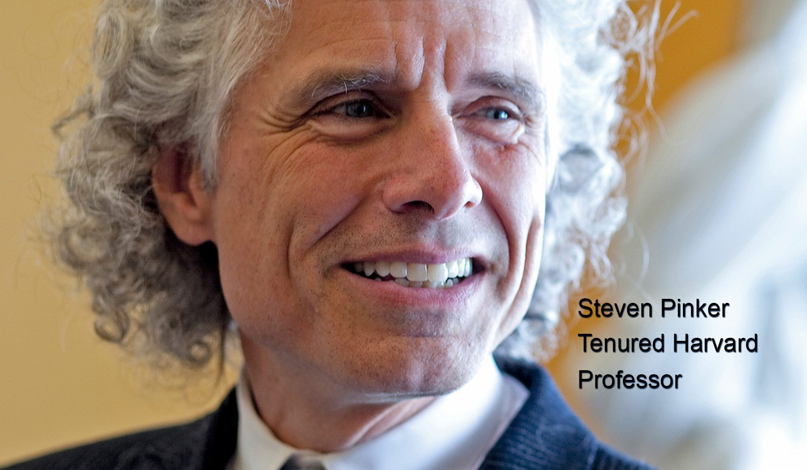 Steven pinker tenured harvard professor