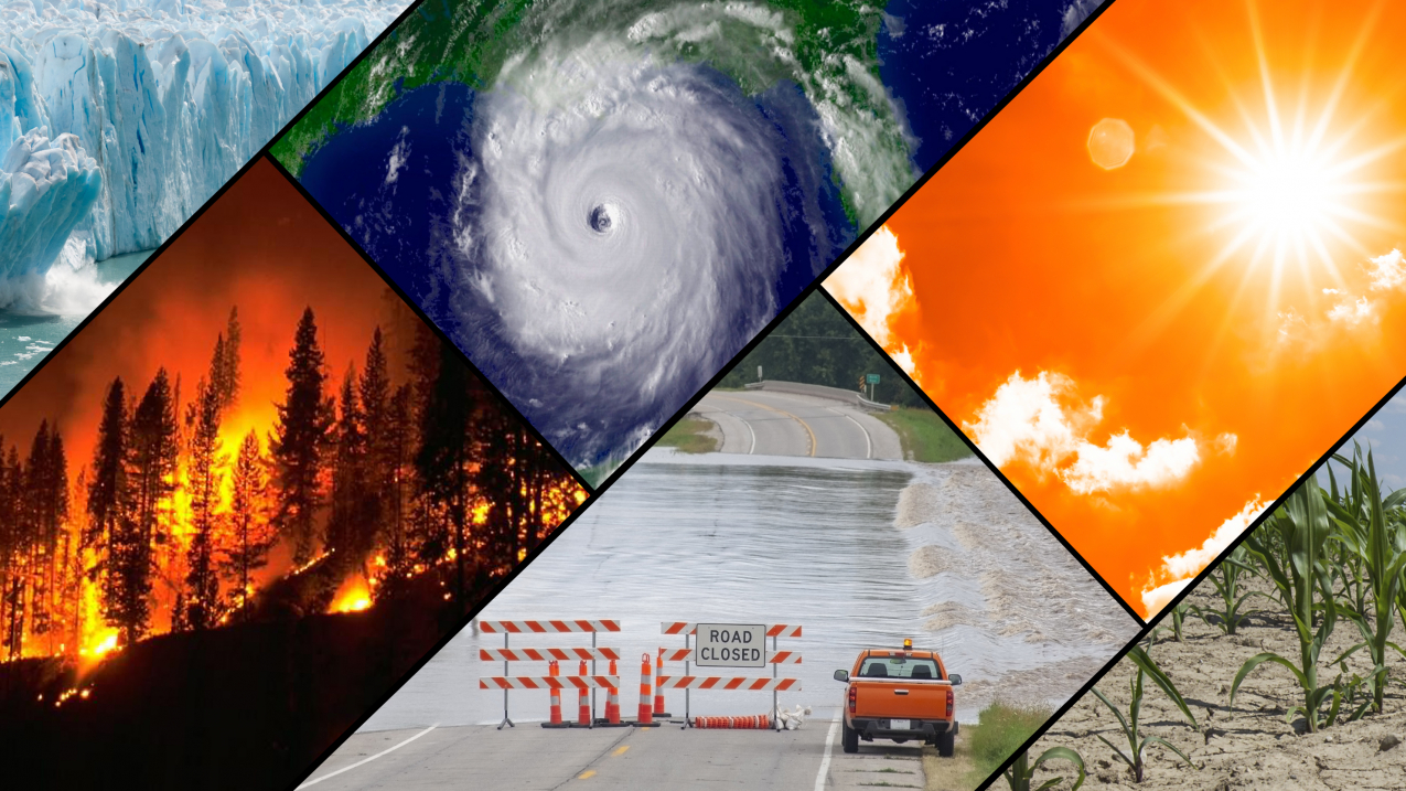 Climate change montage