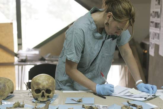 Anthropologists Call for an End to Classifying Human Remains by Gender and Ancestry