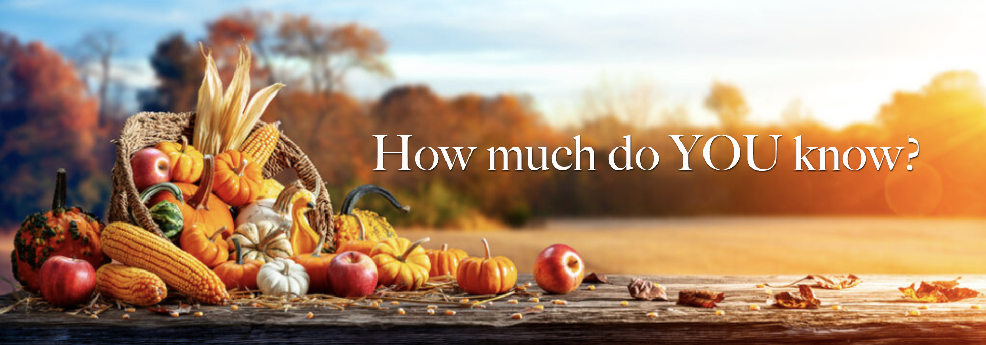 Thanksgiving quiz cornucopia