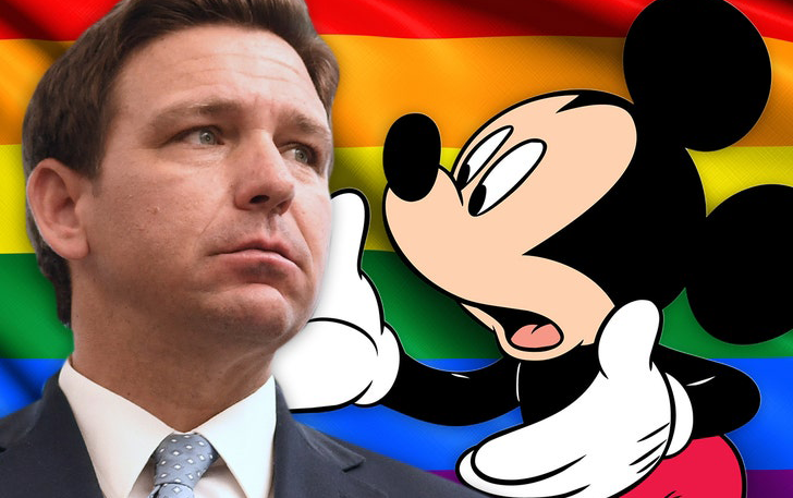 Desantis mickey gay flag