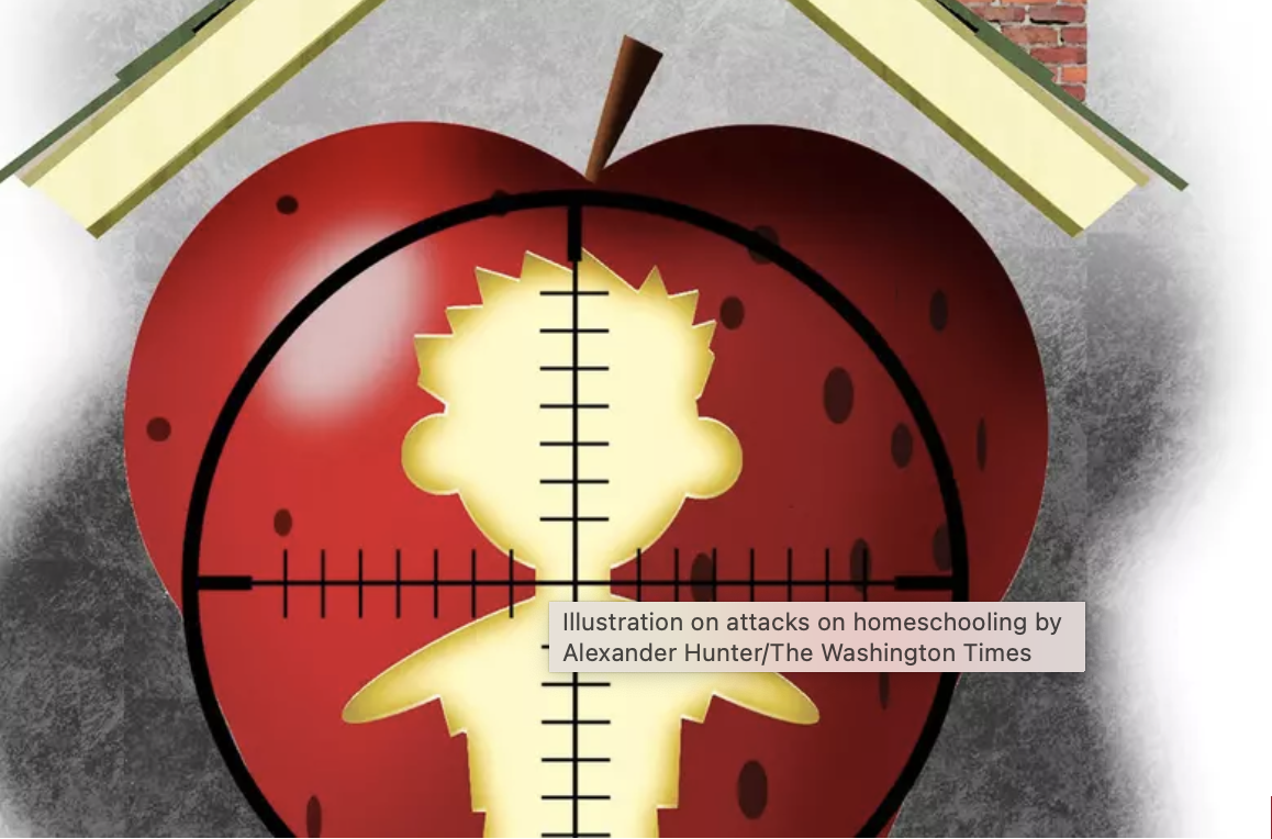 Hit Piece on Home Schooling