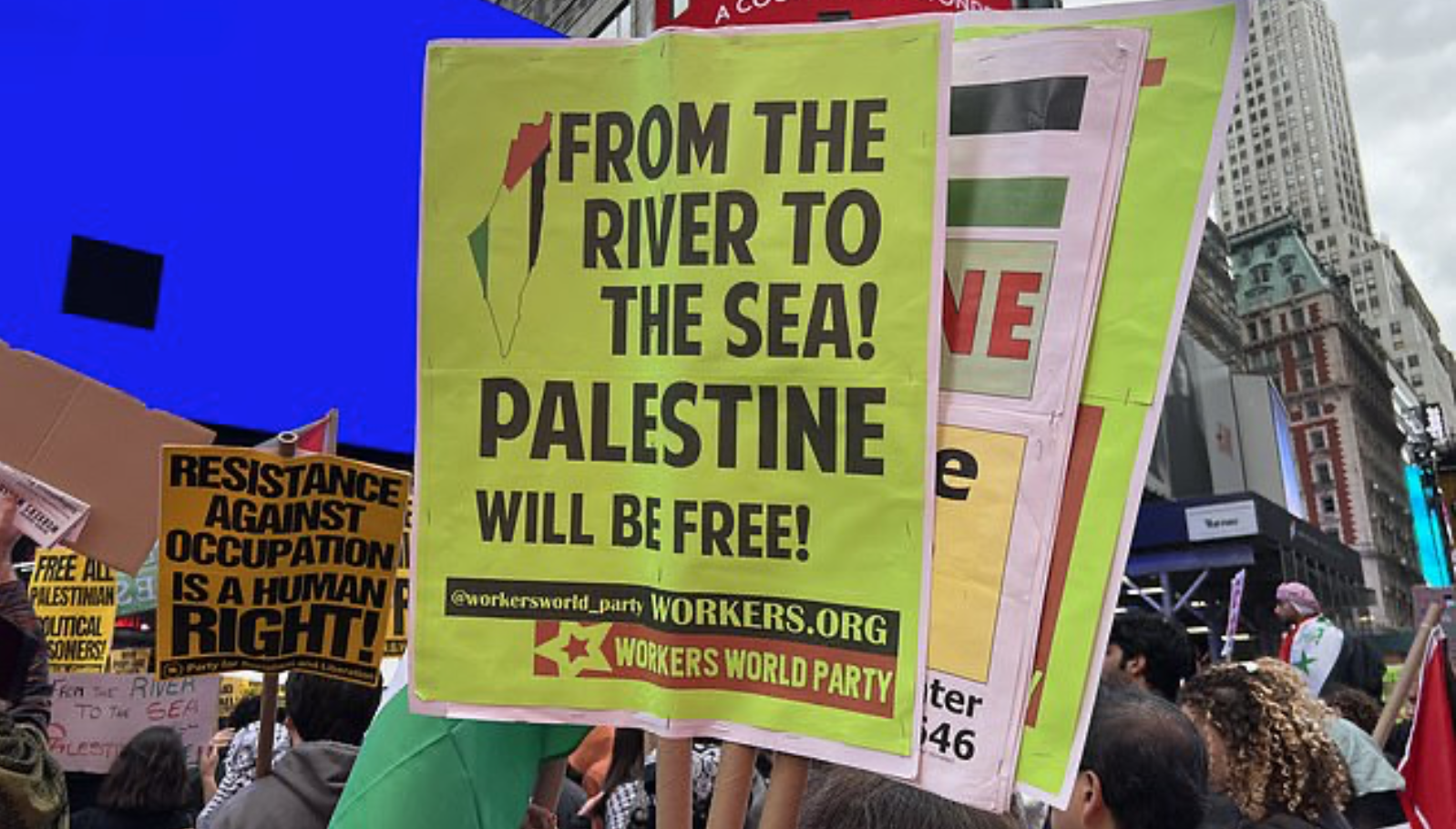 Pro hamas protesters in the us