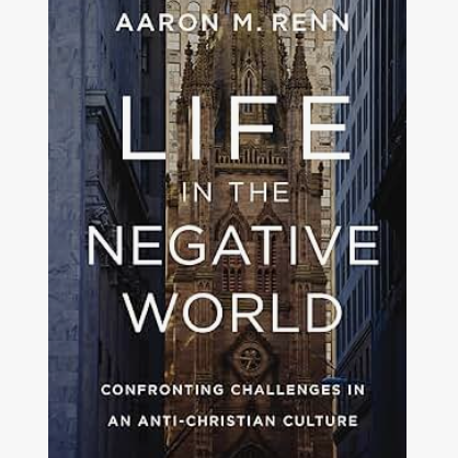 Book cover life in the negative world