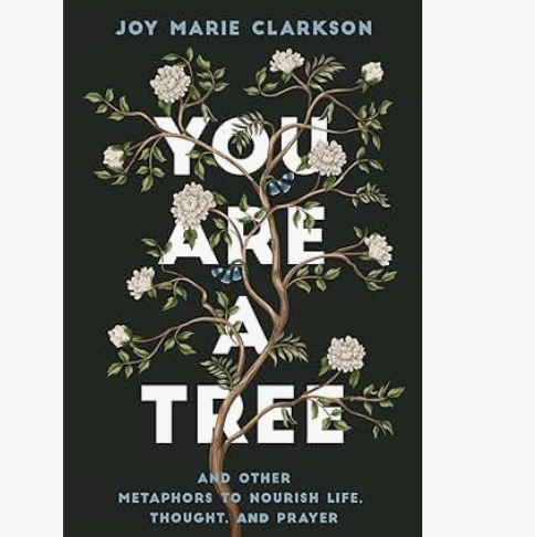 You Are a Tree: And Other Metaphors to Nourish Life, Thought, and Prayer