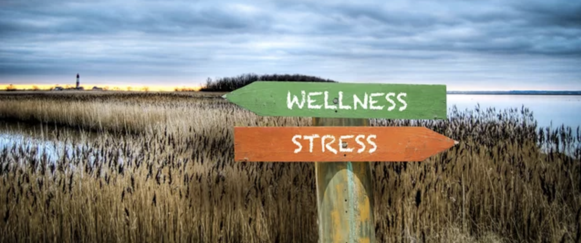 Stressfull vs wellness
