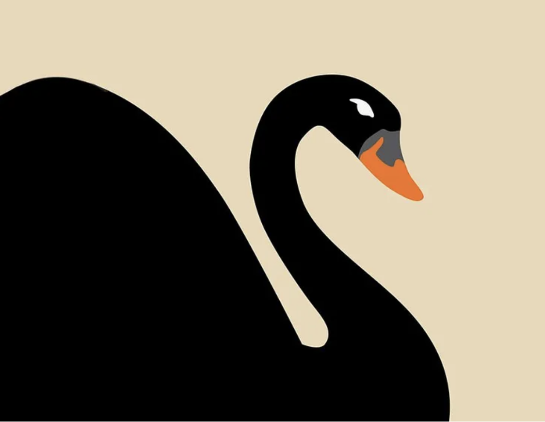 Kamala Harris and the Black Swan Summer