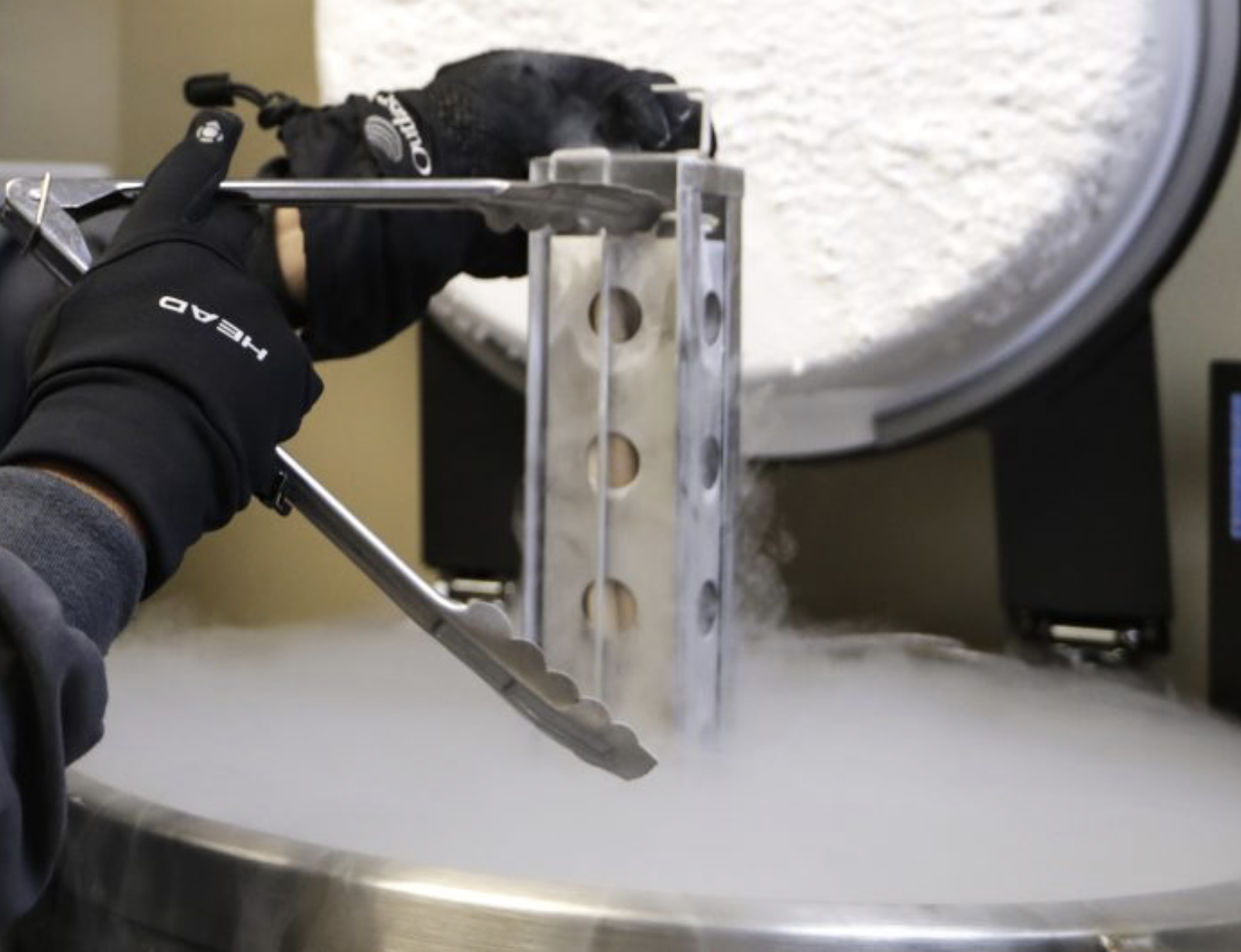 Republicans Back IVF Expansion