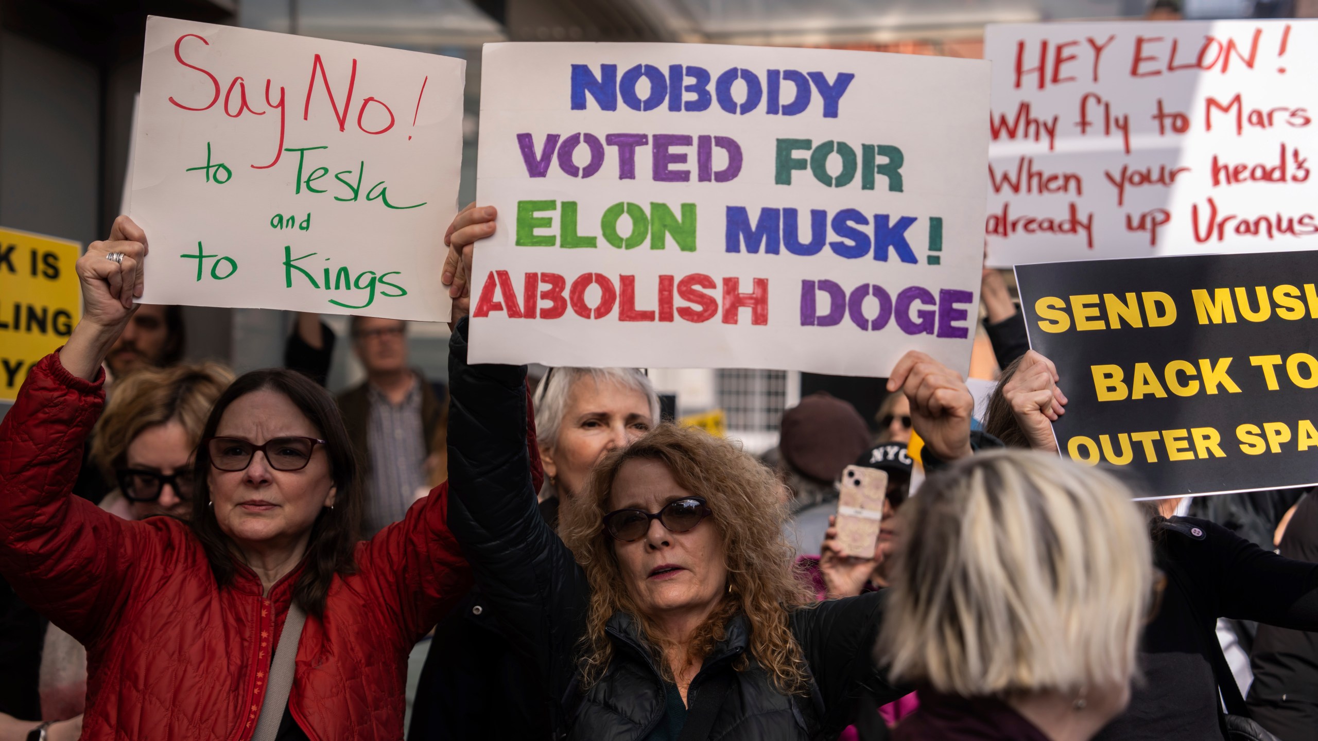 What Do DOGE Protesters Want?