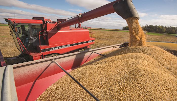 Trump’s Tariff Strategy is a Surefire Loser
