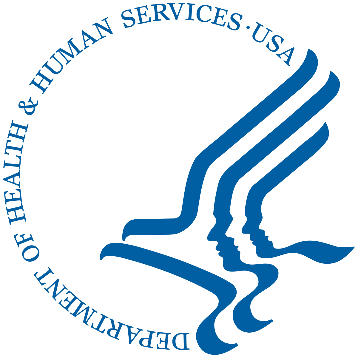 Pivotal Trans Report