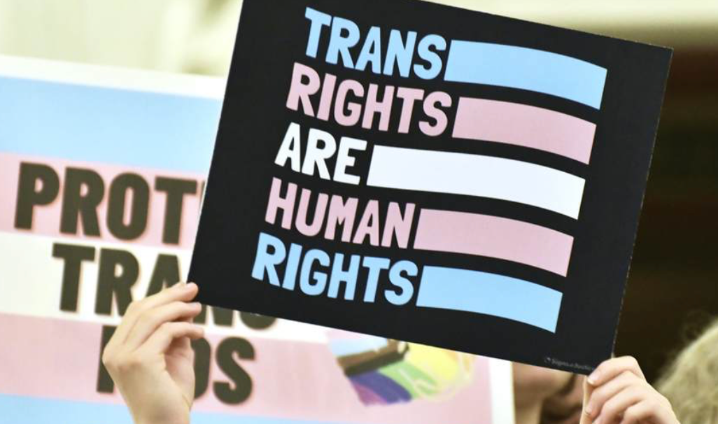 Trans rights protester