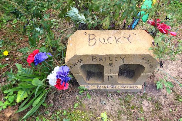 Homemade headstones deals for animals