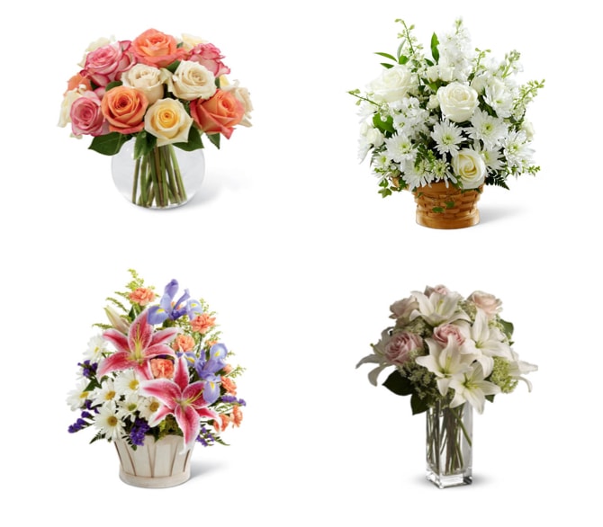 Several bouquets of flowers in vases