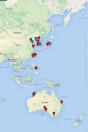 what we knwo of teh Grey Plover's journey from leg banding studies