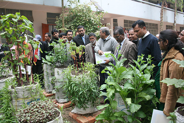 FIVDB workshop on "Vegetable production in sack: Perspectives on Food security".