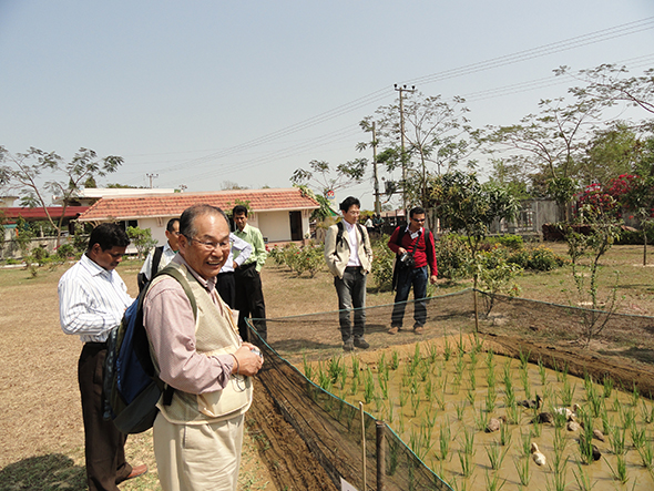 FIVDB hosted the 7th International Rice-Duck Farming Conference that was held in Sylhet in 2011; dlegates came from Japan, Philippines, Korea and USA