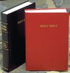 Case Lot Specially Priced Bibles