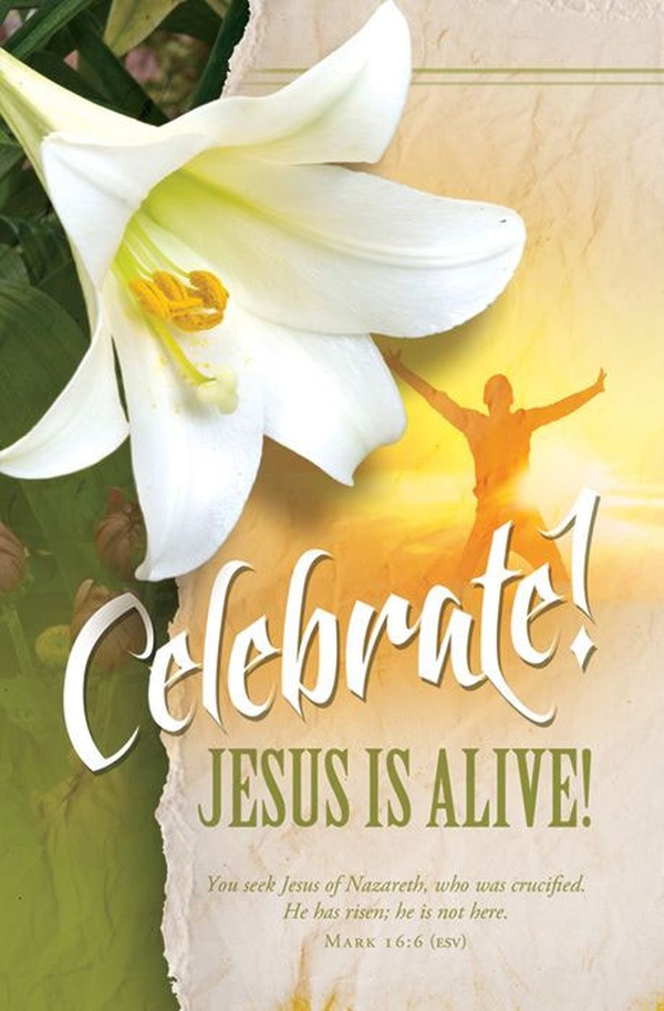 Celebrate! Jesus Is Alive Easter Bulletin Letter Size Church Partner