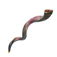 Shofars