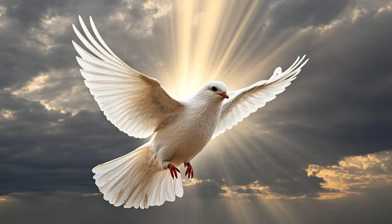 Dove with golden light rays symbolizing divine mission