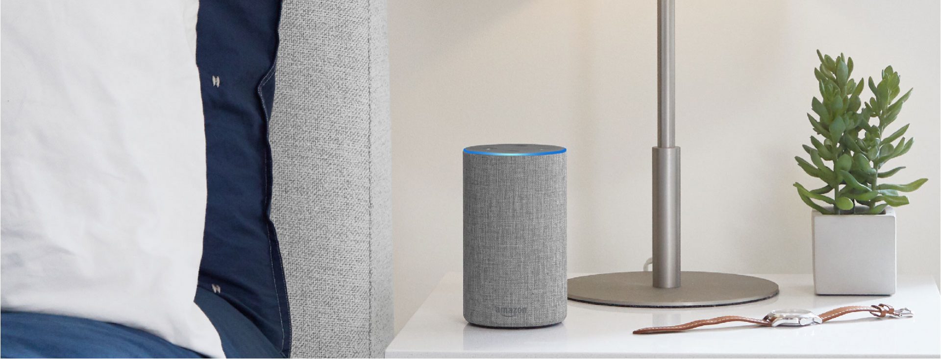 amazon echo plus spotify