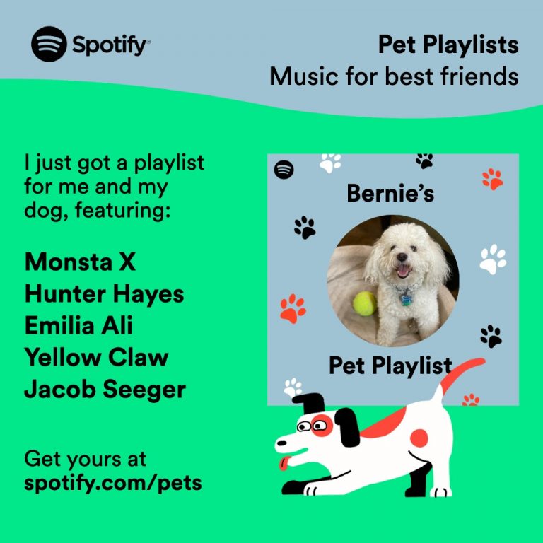 spotify dog music