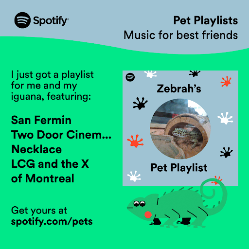 Pet Me  Spotify